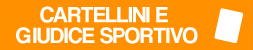 Cartellini, redazioni e giudice sportivo